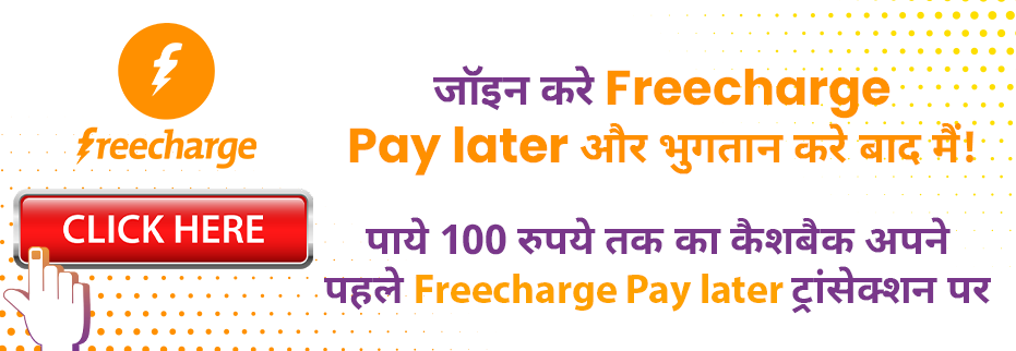 Free charge Pay Later